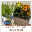 가평수난수난-1 | 가평꽃집 추천｜화분부터 꽃다발까지 예쁜 가평꽃담 내돈내산 후기