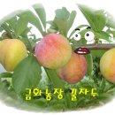 금화농장 이미지