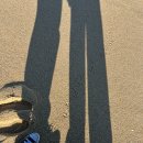 석현목장 이미지