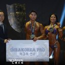 인바 이미지