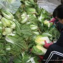 안현농장 이미지