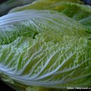 유황돼지 이미지