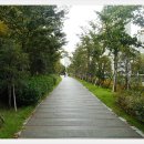 그린레일웨이 이미지