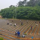 이평면사무소 이미지