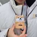 견들의 밥상 | 나고야 게로마을 유노시마칸 신혼여행 2탄 솔직후기