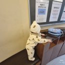 유아 발달 체조(엄마랑아가랑) | 평택 AK 문화센터 10개월 아기 팝콘이 오감 자연놀이 반짝반짝 똘망이 6회차 후기 펌킨월드