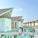 라야요가 | 라야바이엣모스피어 몰디브 가자마자 해야하는 것