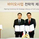 대한뉴팜(주) 이미지