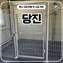 주주애견 | 당진휀스 펜스 - 경희휀스가 만든 당진휀스, 애견 공간 이렇게 달라졌다