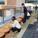 서울숭미초등학교 이미지