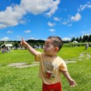 서쪽아이 | 아이랑 가기 좋은 제주 서쪽 여행지 추천