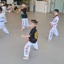 라이온 태권도장 이미지