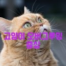 수그루밍 이미지