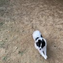 푼타하우스 이미지