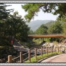 3거리커피 이미지