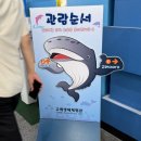 고래로 | 울산 아이와 가볼만한곳 장생포 고래 생태체험관