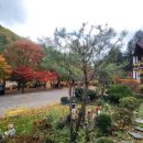 샤라의정원 펜션 이미지