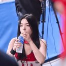 2026 WBC 우승팀 3사 예상 라인업.jpg 이미지