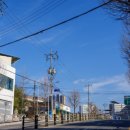 삼보초등학교 이미지