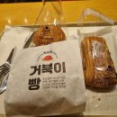 뚜쥬루거북이점 이미지