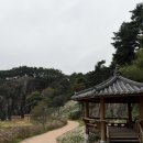 구절초 | 정읍 구절초축제 후기 가을 감성 가득! 포토존, 주차장, 입장료 총정리