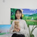 동두천-045 이미지