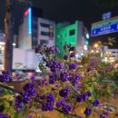 미르밀옥류관인후점 네이버블로그
