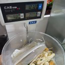 화라마라탕 네이버블로그