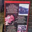 꼬레아24 | 미스꼬레아 대치동 김치볶음밥 옥수동삼겹살과 나고야 큐브스테이크 식사후기 추천