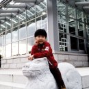 경주부화장 이미지