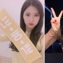 솜이랑