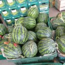 대산청과 이미지