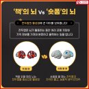 건강윤선생 Daum카페