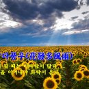 화발다풍우(花發多風雨) : 꽃이 필때는 비바람이 많다 이미지