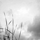 신쾌동류 거문고 산조 이미지