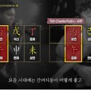돌고래여행사주