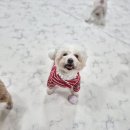 개스트룸 이미지