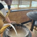 황토메기탕참게탕