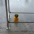 춘포보건지소 이미지