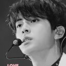 진영상회