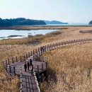 소라면 가사리 이미지