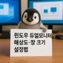 안경 DSR | 윈도우 듀얼모니터 해상도·창 크기 설정법