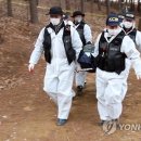 시각장애인 이미지