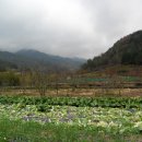 곡성-020 이미지