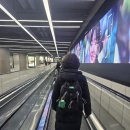 경주 로서(Roseo) 스테이 | 경주 2박 3일 여행