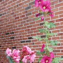 제일주유소 공중화장실 이미지