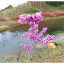 거제북로 이미지