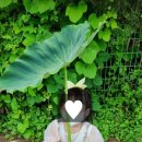 자연과동화어린이집 이미지