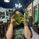 양지쌈밥 | 전남 순천 쌈밥 맛집 :: 양지쌈밥 내돈내산 찐 후기