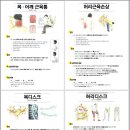 케이한의원 이미지